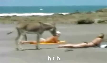 Trẻ phim sec d cô gái sắp xếp đồi trụy lesbian tình dục trong một căn hộ thuê