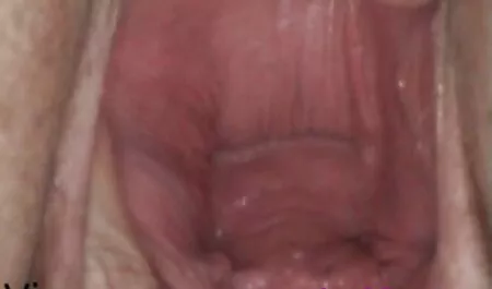 Hot phimsecchauau Sativa Rose cũng làm quản gia :)